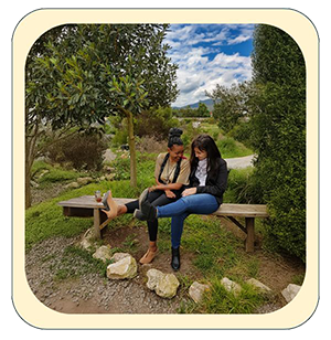 Bee and Bee at Eljada 1